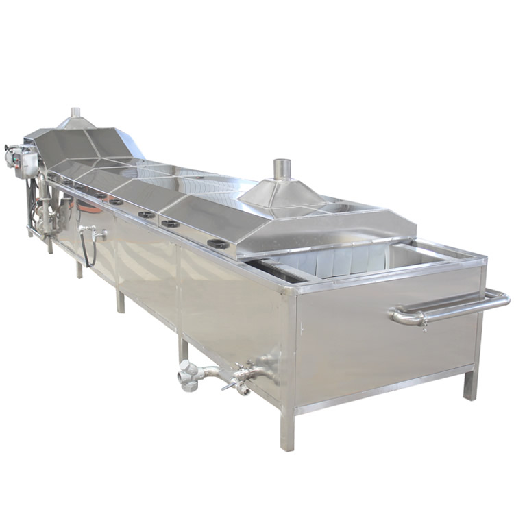 vegetable blanching machine